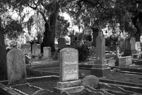 Magnolia Cemetery, Charleston, South Carolina