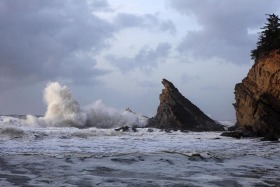 Simpson Beach, Shore Acres State Park, Oregon