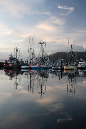 La Push Harbor, Washington