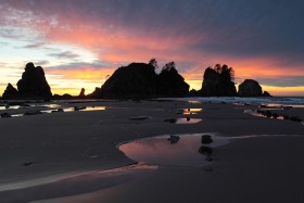 Point of Arches, Olympic National Park, California