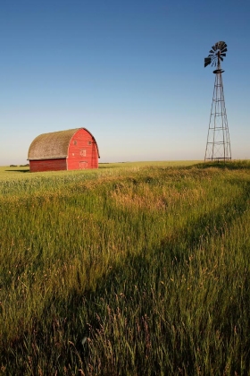 Near Hussar, Alberta, Canada
