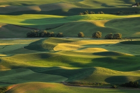 Steptoe Butte State Park, Washington