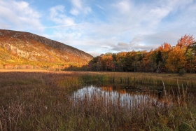 Along Schooner Head Road, Acadia National Park, Maine