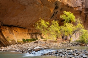 The Narrows, Zion National Park, Utah