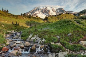 Paradise, Mt. Rainier National Park, Washington