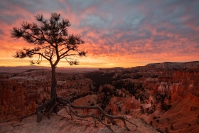 Sunrise Point, Bryce Canyon National Park, Utah