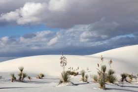 White Sands National Monument, New Mexico