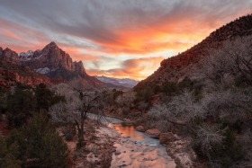 The Watchman & Virgin River, Zion National Park, Utah