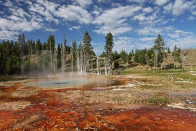 upper-geyser-basin-yellowstone-0061