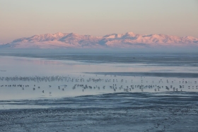 Antelope Island State Park, Utah