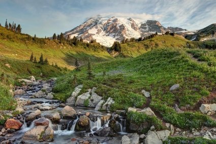 Paradise, Mt. Rainier National Park, Washington