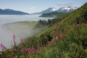 Along the Shoup Bay Trail, Valdez, Alaska