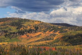 Along the Mirror Lake Scenic Byway, Uinta-Wasatch-Cache National Forest, Utah