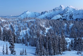 Paradise, Mt. Rainier National Park, Washington