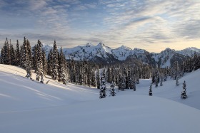 Paradise, Mt. Rainier National Park, Washington