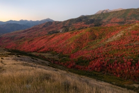Deer Creek Overlook, Uinta-Wasatch-Cache National Forest, Utah