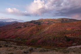 Deer Creek Overlook, Uinta-Wasatch-Cache National Forest, Utah