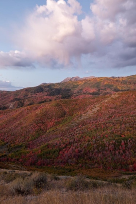 Deer Creek Overlook, Uinta-Wasatch-Cache National Forest, Utah