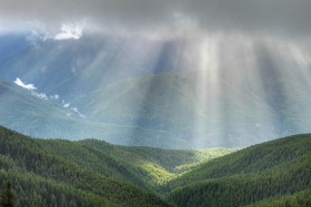 Hurricane Ridge, Olympic National Park, Washington