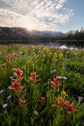 Scout Lake, Uinta-Wasatch-Cache National Forest, Utah