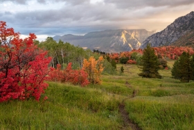 Cascade Meadows, Uinta-Wasatch-Cache National Forest, Utah