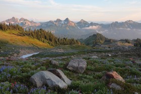 Paradise, Mt. Rainier National Park, Washington