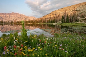 Ruth Lake, Uinta-Wasatch-Cache National Forest, Utah