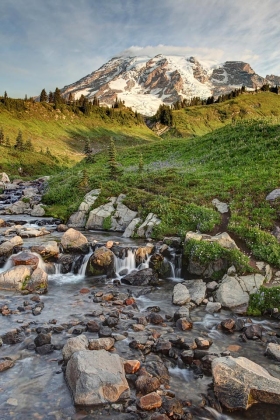 Paradise, Mt. Rainier National Park, Washington