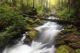 Roaring Fork River, Great Smoky Mountains National Park, Tennessee