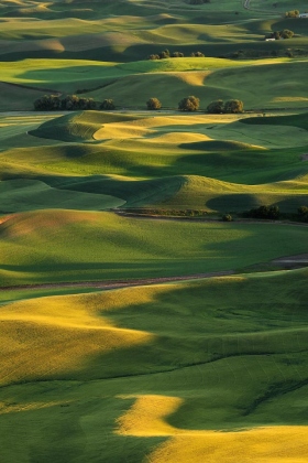 Steptoe Butte State Park, Washington