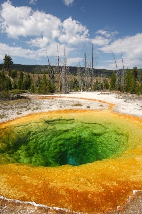 Morning Glory Pool, Yellowstone National Park, Wyoming