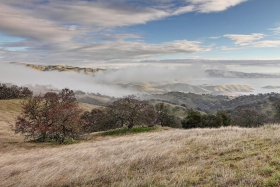 Pacheco State Park, California