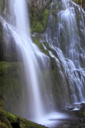 Proxy Falls, Willamette National Forest, Oregon