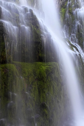 Proxy Falls, Willamette National Forest, Oregon