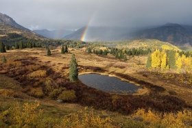 Molas Pass, San Juan National Forest, Colorado