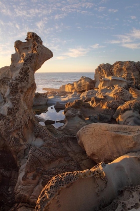 Salt Point State Park, California