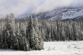 Along the Mirror Lake Scenic Byway, High Uintas Wilderness Area, Utah