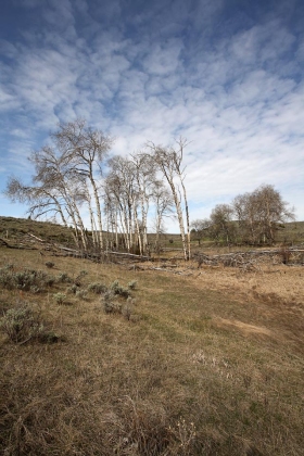 Near Ringling, Montana