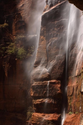 Weeping Rock, Zion National Park, Utah