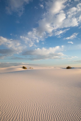 White Sands National Park, New Mexico