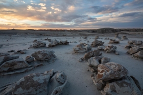 Cracked Eggs, Bisti/De-Na-Zin Wilderness Area, New Mexico