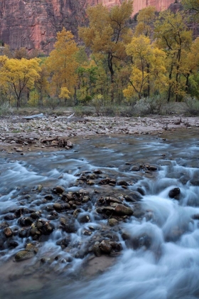 Virgin River, Zion National Park, Utah