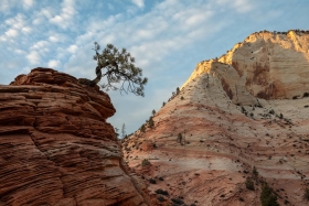East Zion, Zion National Park, Utah