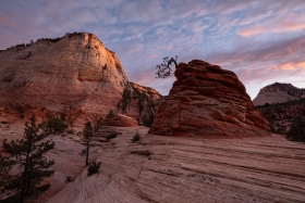 East Zion, Zion National Park, Utah