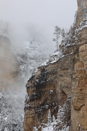Cedar Canyon, Utah
