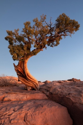 Dead Horse Point, Dead Horse Point State Park, Utah