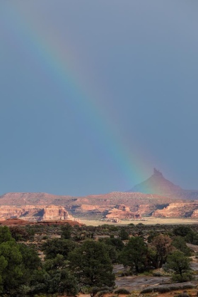 The Needles, Canyonlands National Park, Utah