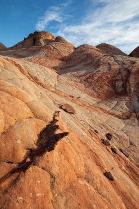 Yant Flat, Red Cliff National Conservation Area, Utah