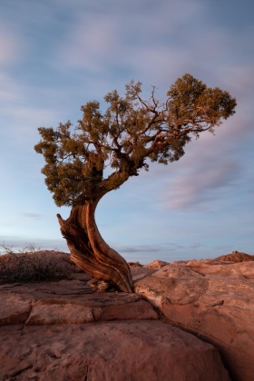 Dead Horse Point, Dead Horse Point State Park, Utah