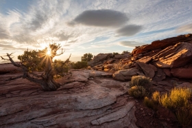 Murphy's Point, Canyonlands National Park, Utah